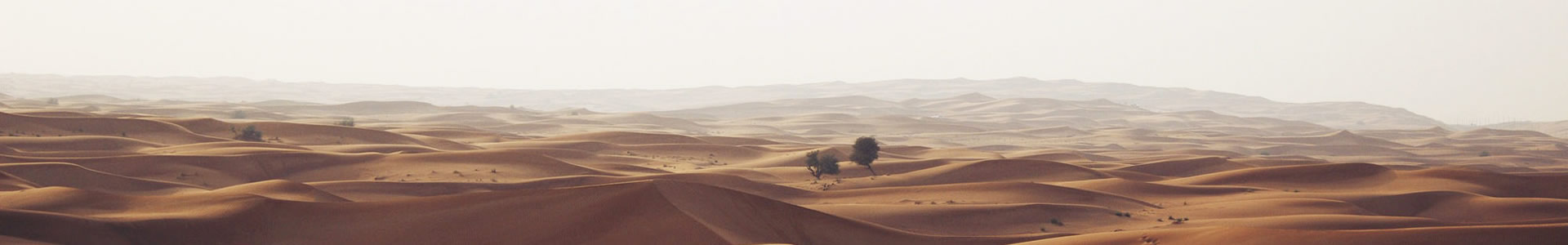 ģƼ޹˾